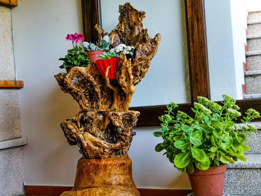 Casa Carolina Konuk evi Vila Seca  Dış mekan fotoğraf